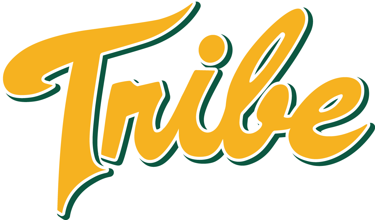 William and Mary Tribe 2016-Pres Alternate Logo DIY iron on transfer (heat transfer)